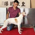 大眼睛米奇 156100009963026