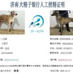 YY注册格力犬-奇怪的射线 S5510 109N，900128001216130与非格力犬的相亲记录