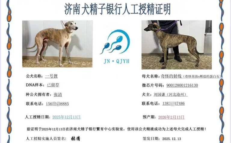 YY注册格力犬-奇怪的射线 S5510 109N，900128001216130与非格力犬的相亲记录