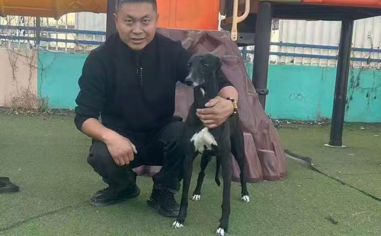 二道黑 900025018883215
