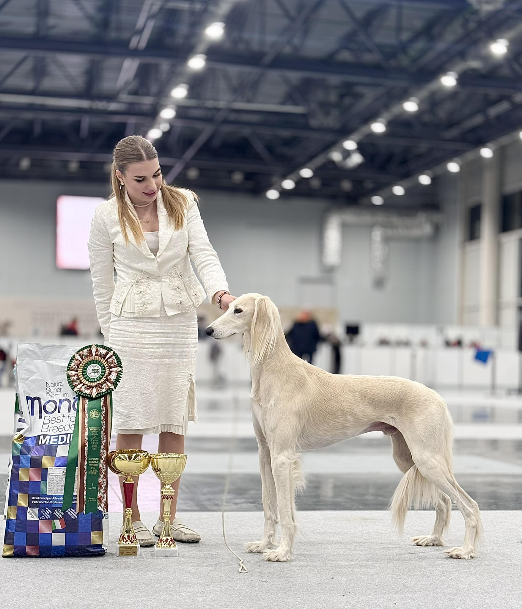 简讯：萨路基犬BEL ETUAL MISTER X（中文名简称为X先生）获得2026萨巴涅夫纪念犬展视觉猎犬组冠军