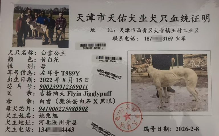 YY注册格力犬：白雪公主 900239912309011与非格力犬的相亲记录